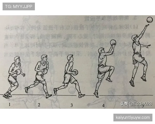 全面解读篮球规则中的连续动作判定机制